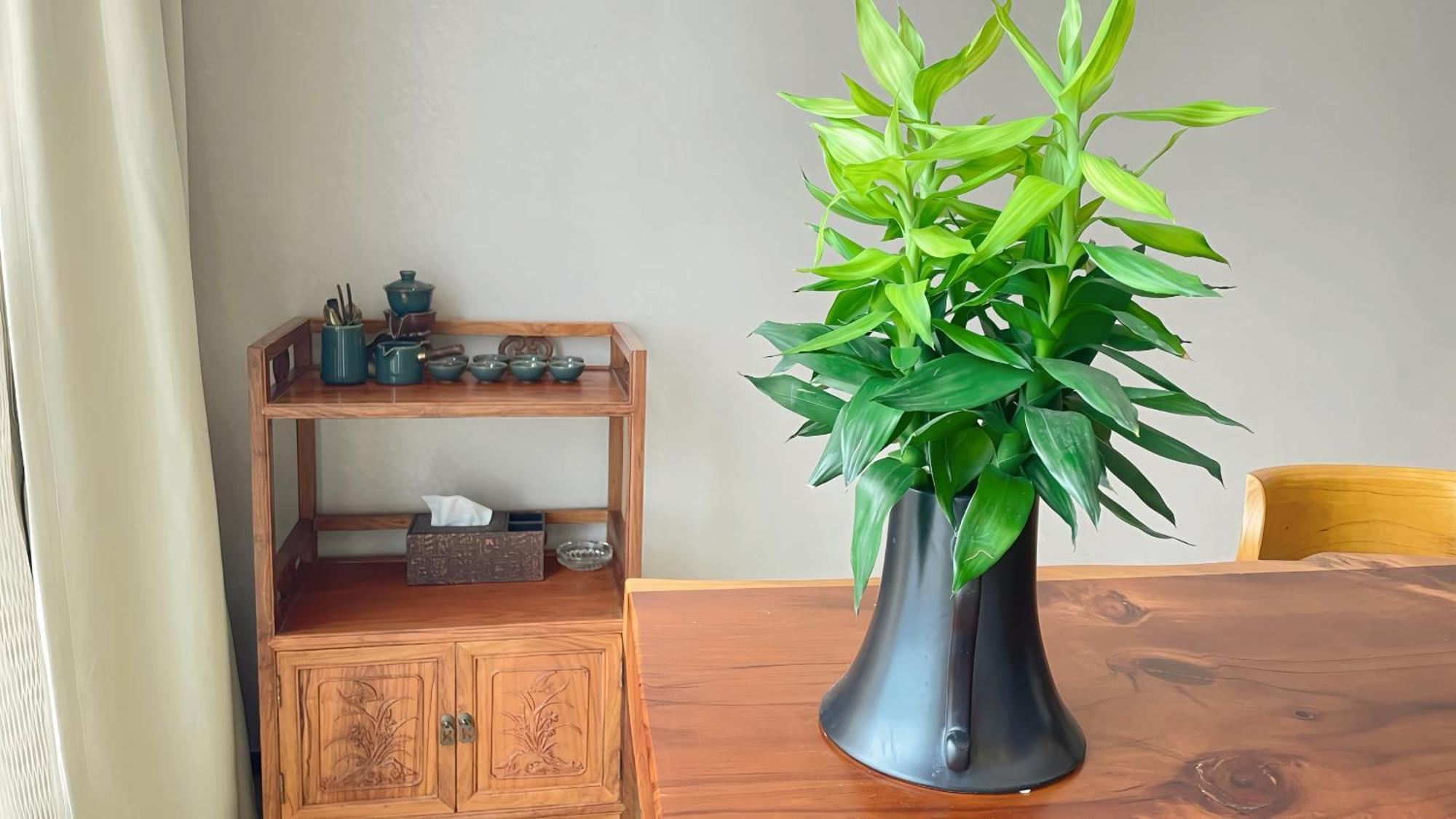 Guangzhou Xing Yi International Apartment - Poly World Branch Extérieur photo